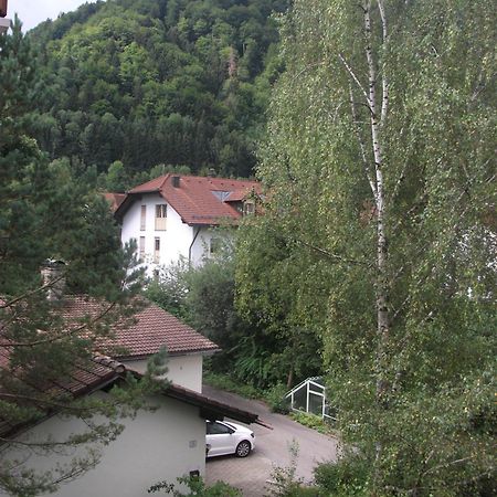 Appartemant Steineberg Immenstadt im Allgäu Extérieur photo